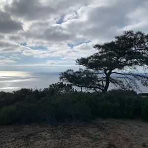 Meet your Posher, Ashley-dawn